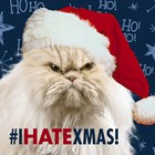 i hate xmas very much